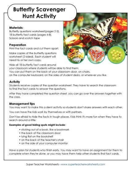 Butterfly Scavenger Hunt Activity (Printable PDF Worksheet)