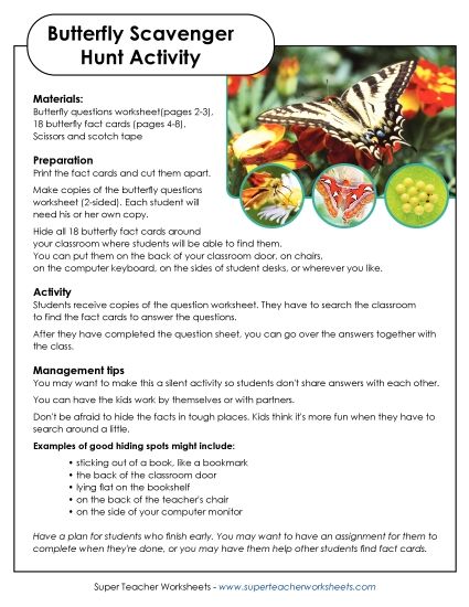 Butterfly Scavenger Hunt (Printable PDF Worksheet)