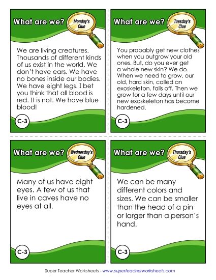 3rd Grade - C3 - Spiders (Printable PDF Worksheet)