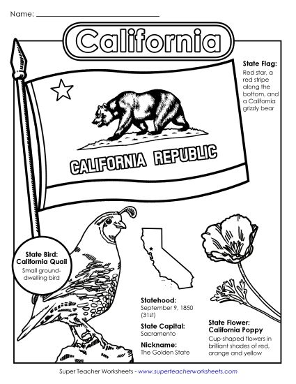 Symbols - California State Symbols Coloring Page (Printable PDF Worksheet)