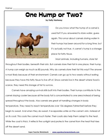 Nonfiction Articles - Camels: One Hump or Two? (Printable PDF Worksheet)