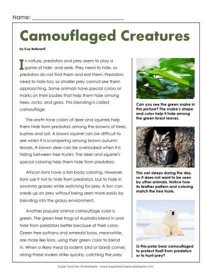 Nonfiction Articles - Camouflage (Printable PDF Worksheet)