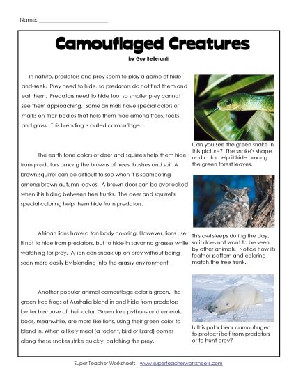 Animal Topics - Camouflage in Nature (Printable PDF Worksheet)