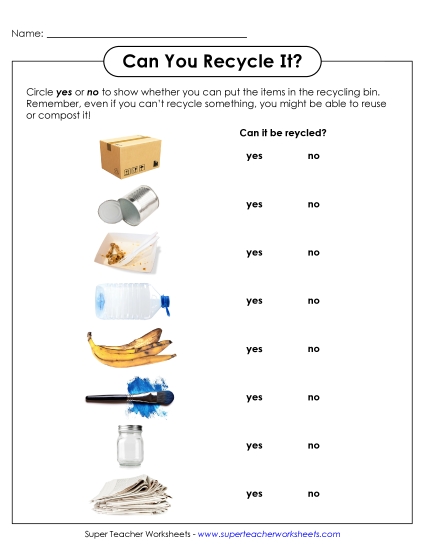 Reduce, Reuse, Recycle - Can It Be Recycled? (Printable PDF Worksheet)