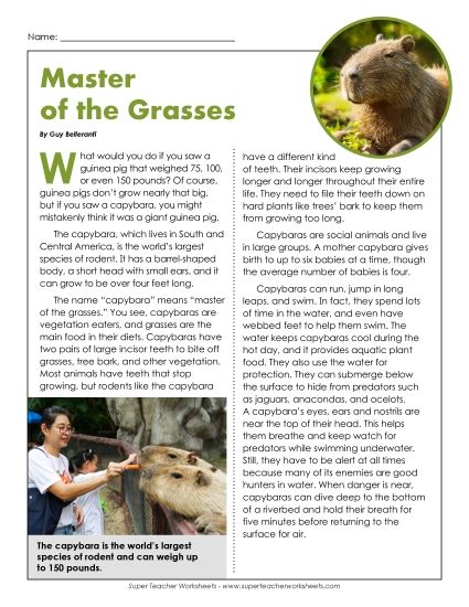 Mammals - Capybara (Printable PDF Worksheet)