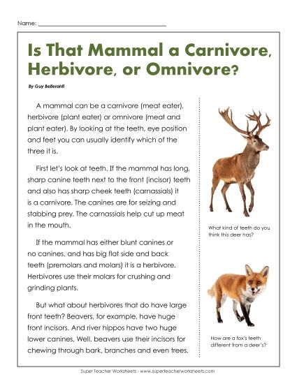 Nonfiction Articles - Carnivores, Herbivores, and Omnivores (Printable PDF Worksheet)