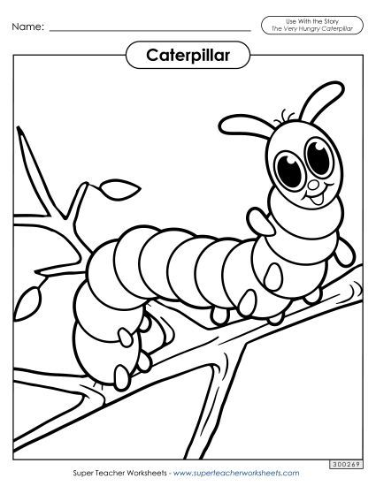 Coloring Pages - Caterpillar (Printable PDF Worksheet)