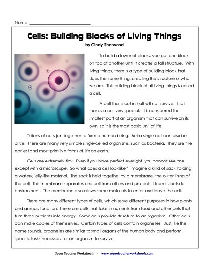 Reading Comprehension Articles - Cells Reading Comprehension Activity (Printable PDF Worksheet)