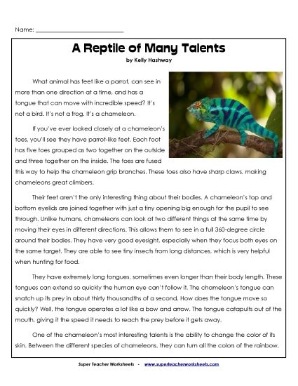 Reptiles - Chameleons (Printable PDF Worksheet)