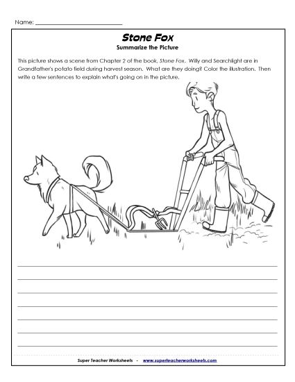 Chapters 1 & 2 - Chapter 2: Picture Summary (Printable PDF Worksheet)