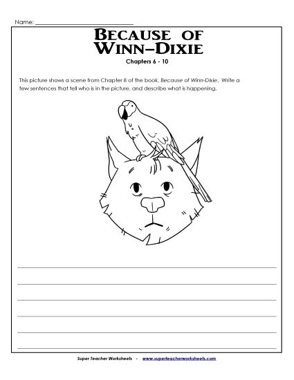 Chapters 6-10 - Chapter 8: Summary Picture (Printable PDF Worksheet)