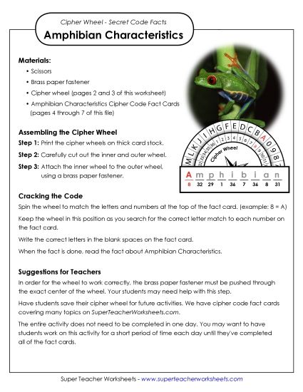 Characteristics of Amphibians (Printable PDF Worksheet)