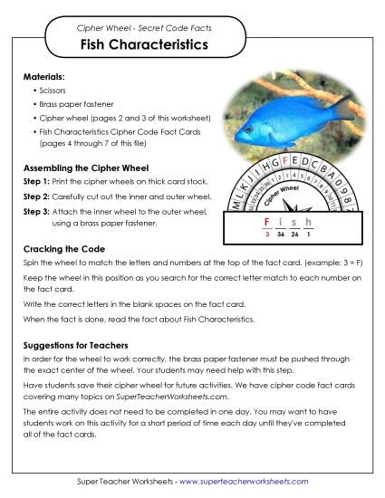 Characteristics of Fish (Printable PDF Worksheet)