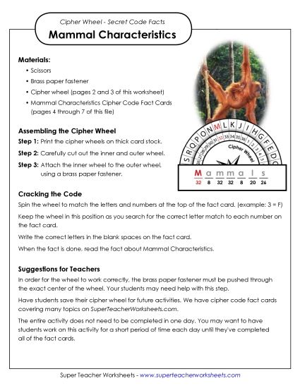 Characteristics of Mammals (Printable PDF Worksheet)