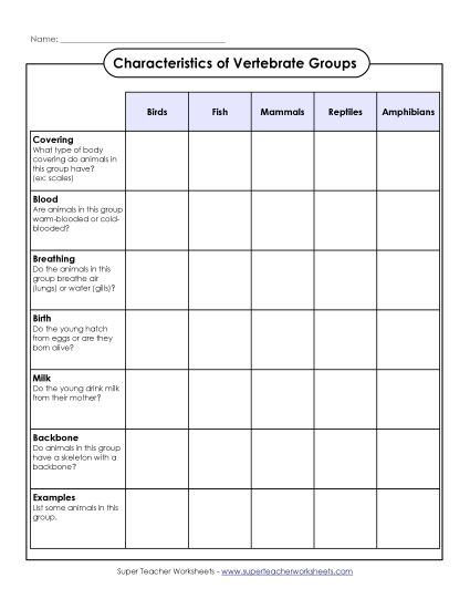 Vertebrate Classification - Characteristics of Vertebrates (Table) (Printable PDF Worksheet)