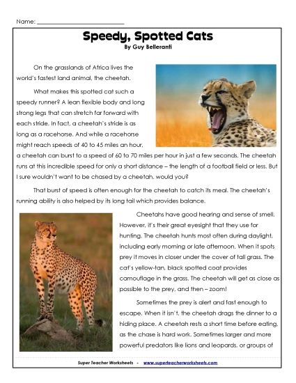 Mammals - Cheetahs (Printable PDF Worksheet)