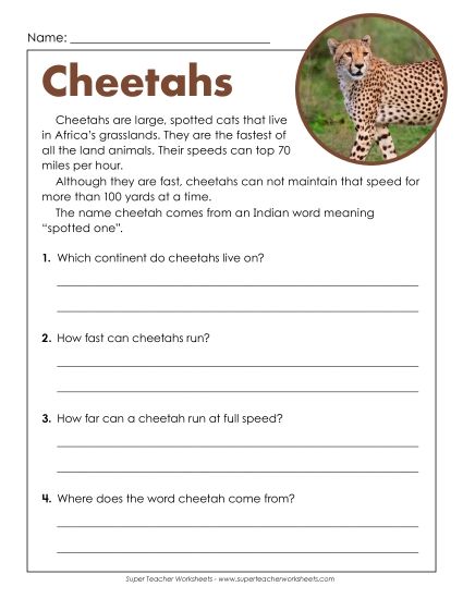 Short Passages - Cheetahs (Short) (Printable PDF Worksheet)