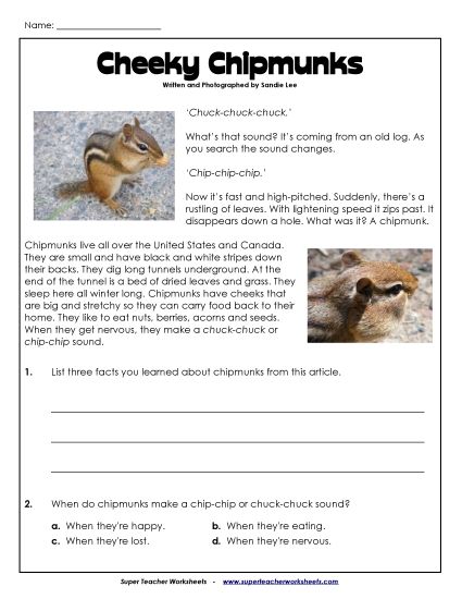 Mammals - Chipmunks (Printable PDF Worksheet)