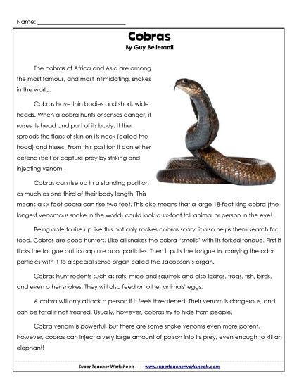 Reptiles - Cobras (Printable PDF Worksheet)