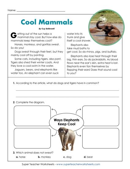 Animal Topics - Cool Mammals (Short Article) (Printable PDF Worksheet)