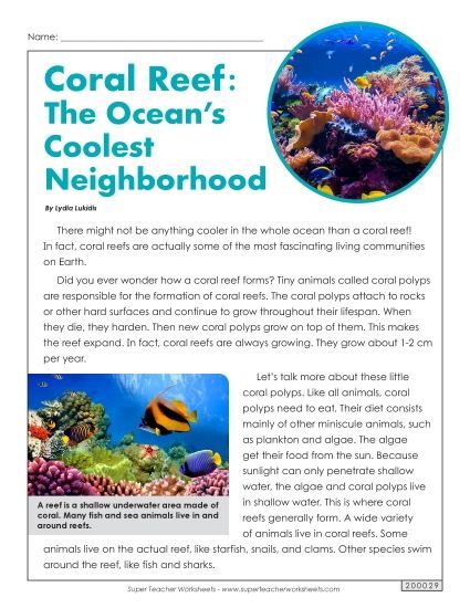 Reading Comprehension - Coral Reef: Ocean's Coolest Neighborhood (Printable PDF Worksheet)