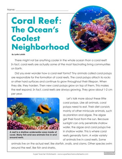Nonfiction Articles - Coral Reef: The Ocean's Coolest Neighborhood (Printable PDF Worksheet)
