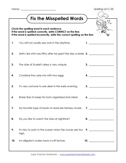 Worksheets - Correct or Incorrect? (C-30)  (Printable PDF Worksheet)