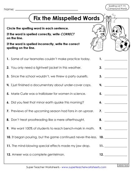 Worksheets and Puzzles - Correct or Incorrect? (F-14) (Printable PDF Worksheet)
