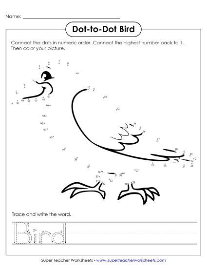 Count and Write - Count to 50 & Write: Bird (Printable PDF Worksheet)