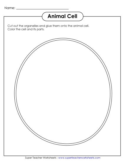 Animal Cells (Basic) - Cut-and-Glue Animal Cell (Printable PDF Worksheet)
