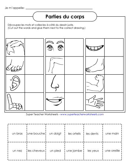 Body Parts (Parties du corps) - Cut-and-Glue: Body Parts (Printable PDF Worksheet)