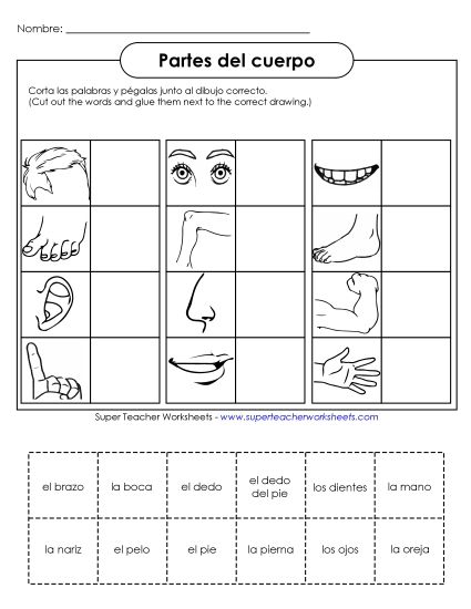 Body Parts (Partes del cuerpo) - Cut-and-Glue: Body Parts (Printable PDF Worksheet)