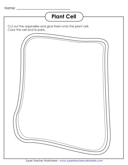 Plant Cells (Basic) - Cut-and-Glue Plant Cell (Printable PDF Worksheet)