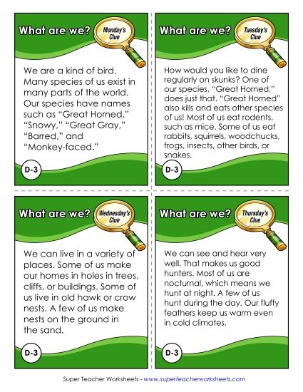 4th Grade - D3 - Owls (Printable PDF Worksheet)