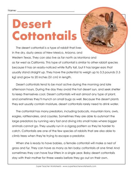 Nonfiction Articles - Desert Cottontails (Printable PDF Worksheet)