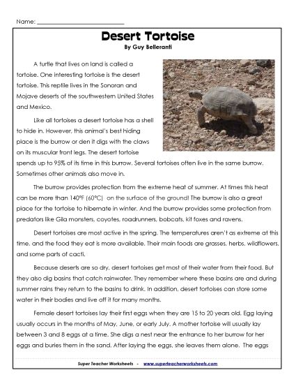 Reading Comprehension - Desert Tortoise in Arizona (Printable PDF Worksheet)
