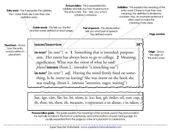 Dictionary Parts (Printable PDF Worksheet)