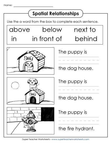 Fill-in-the-Blank Worksheets - Dog & Cat Spatial Relationships (Printable PDF Worksheet)