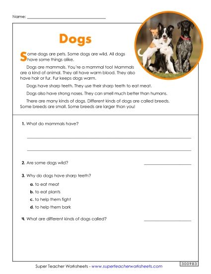 Short Passages - Dogs (Nonfiction) (Printable PDF Worksheet)