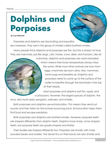 Reading Passages - Dolphins and Porpoises (Printable PDF Worksheet)