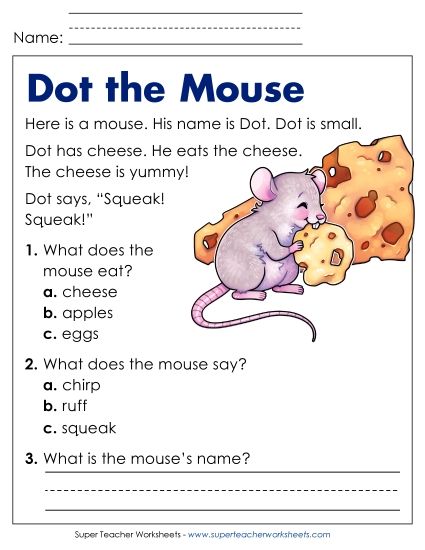 Reading Comprehension and  Additional ELA Skills - Dot the Mouse (Printable PDF Worksheet)