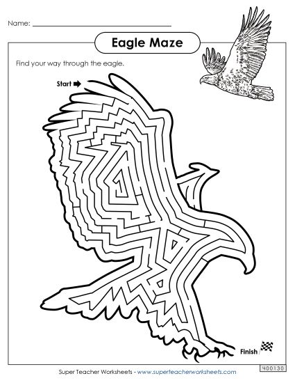 Bald Eagle - Eagle Maze (Printable PDF Worksheet)