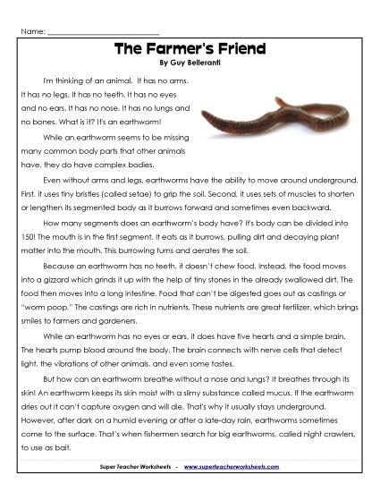 Other Animals - Earthworms (Printable PDF Worksheet)