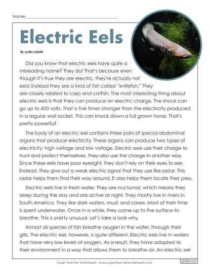 Nonfiction Articles - Electric Eels (Article)  (Printable PDF Worksheet)
