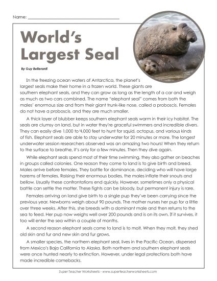 Mammals - Elephant Seals (Printable PDF Worksheet)