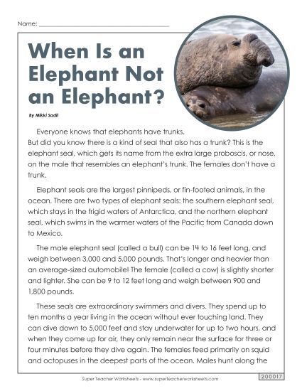 Mammals - Elephant Seals Article (Printable PDF Worksheet)