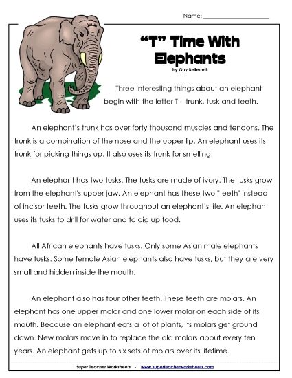 Nonfiction - Elephants (Printable PDF Worksheet)