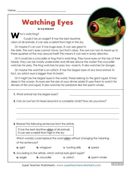 Animal Topics - Eyes and Vision (Short Article) (Printable PDF Worksheet)
