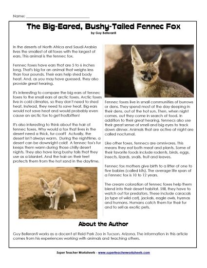 Nonfiction Articles - Fennec Fox (Article) (Printable PDF Worksheet)