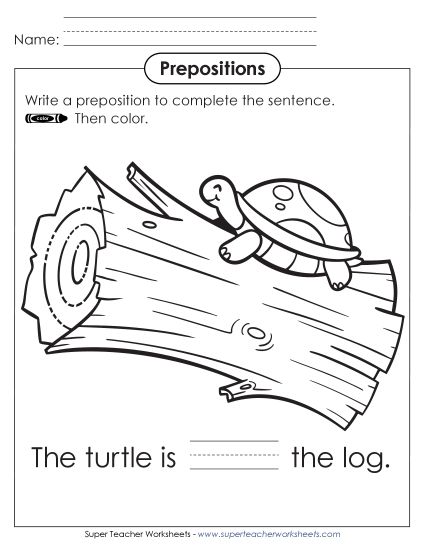 Level: Basic - Fill in the Blank and Color: Turtle (Printable PDF Worksheet)